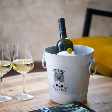 Villa Casa Anonima By Briskva